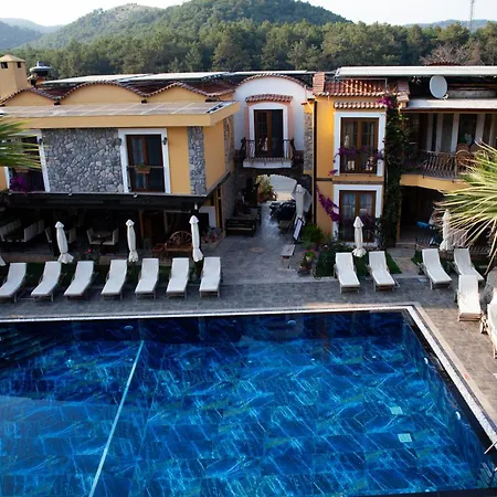 Отель The Olive Tree