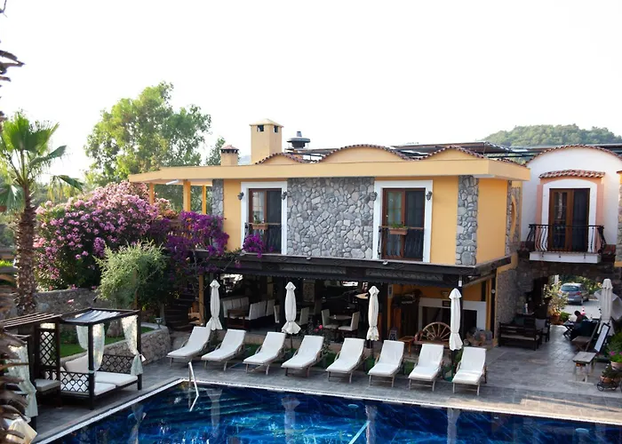 The Olive Tree Фетхие